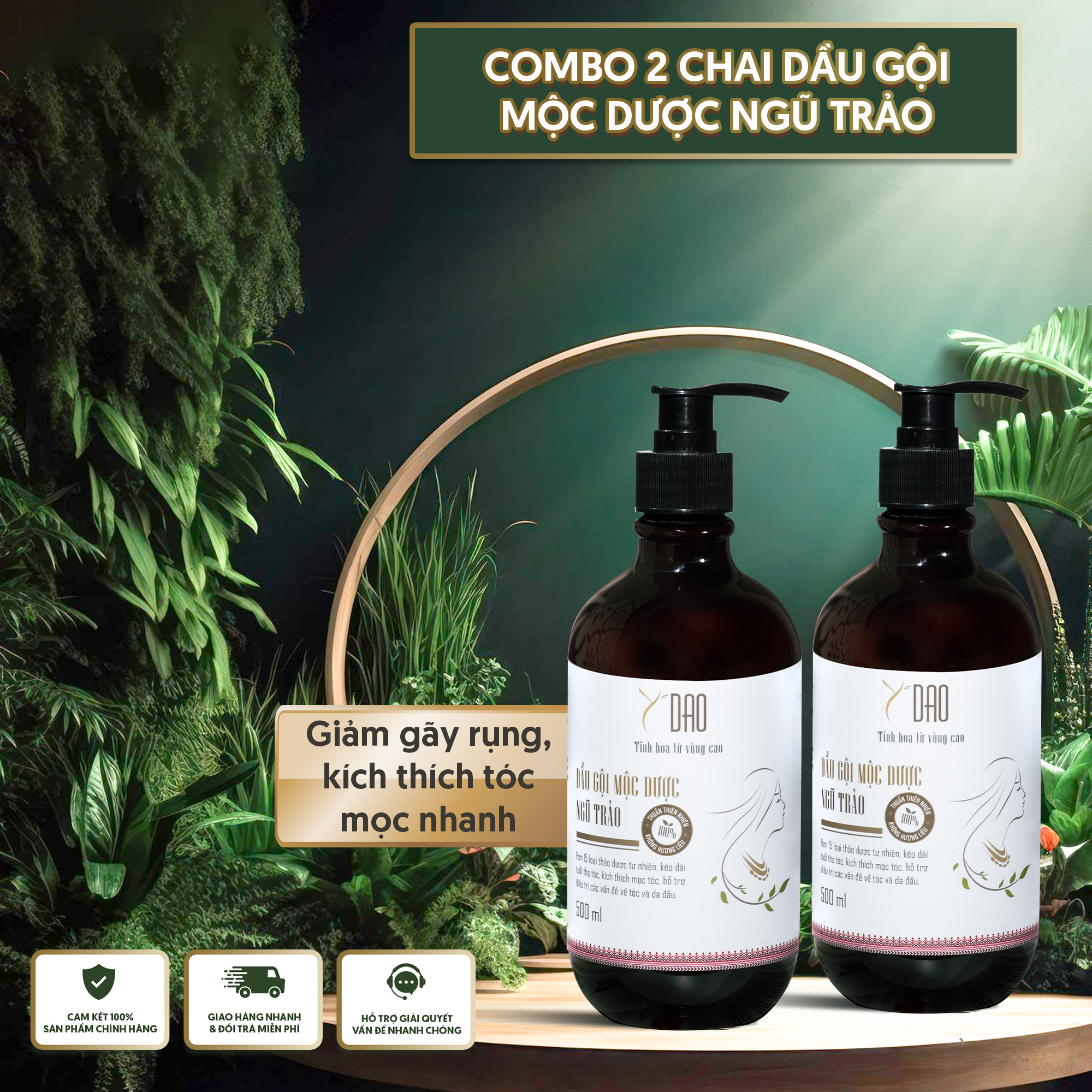 COMBO 2 CHAI GỘI MỘC DƯỢC NGŨ TRẢO